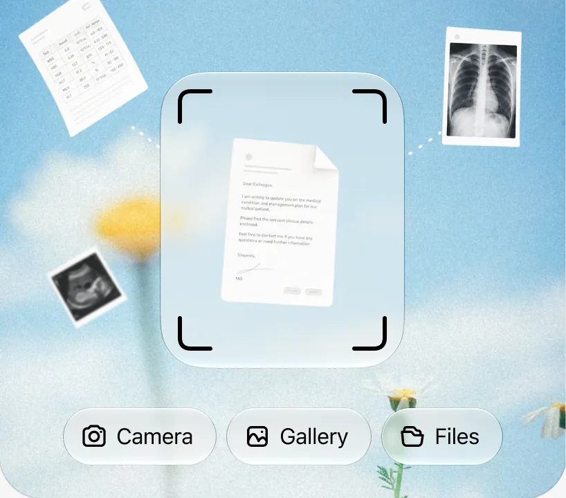 A paper document captured inside a camera viewfinder, with Camera, Gallery and Files buttons below.